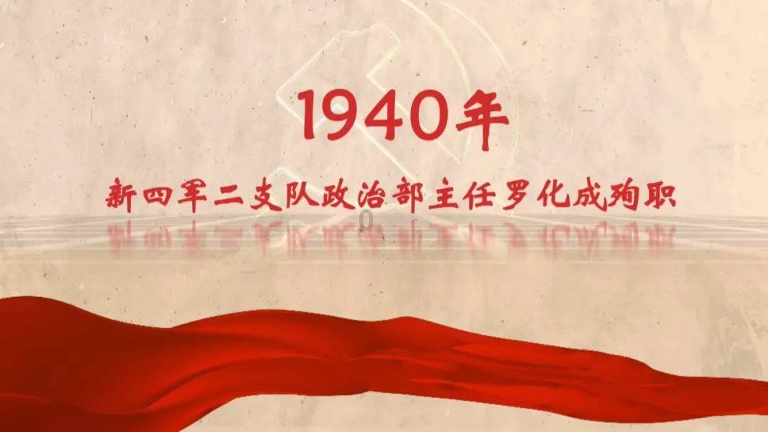 逗小猴开心系列206